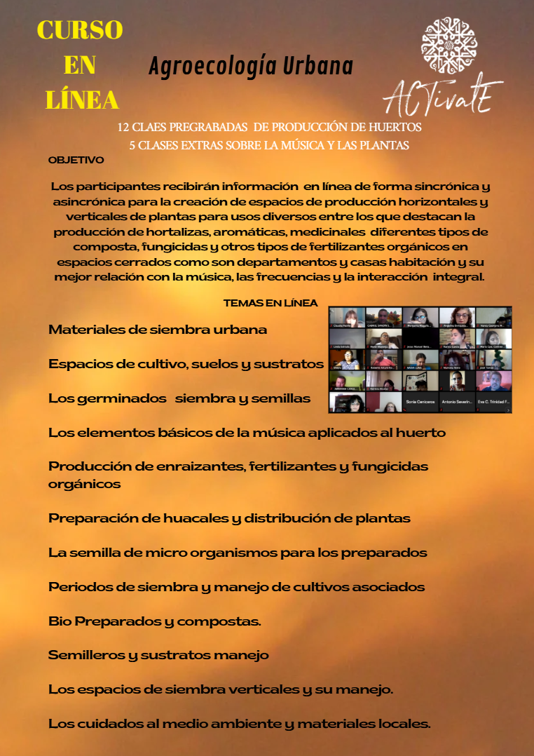 Captura de pantalla 2025-07-28 195040