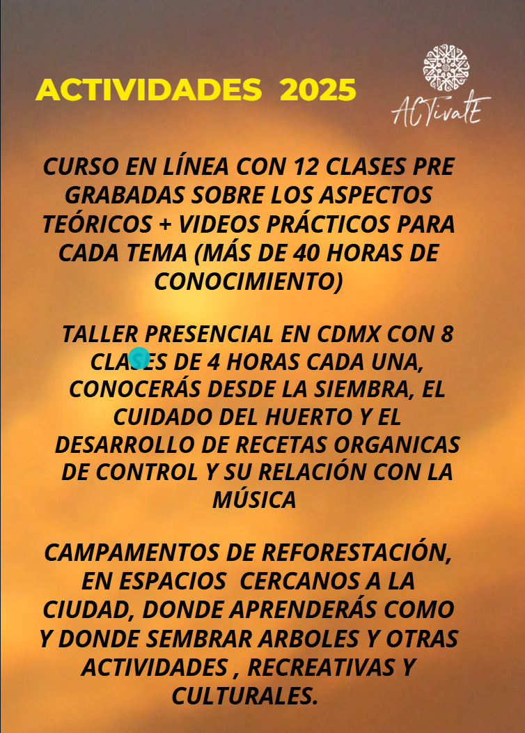 Captura de pantalla 2025-07-28 195055